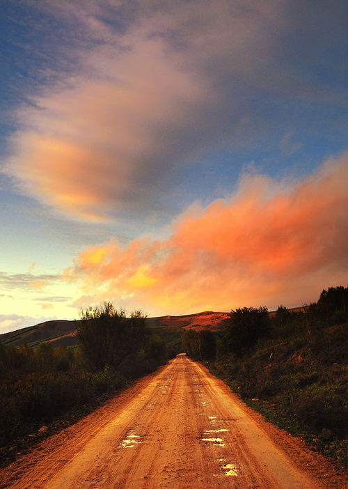 一路狂奔科技 创新赛道上的疾驰者
